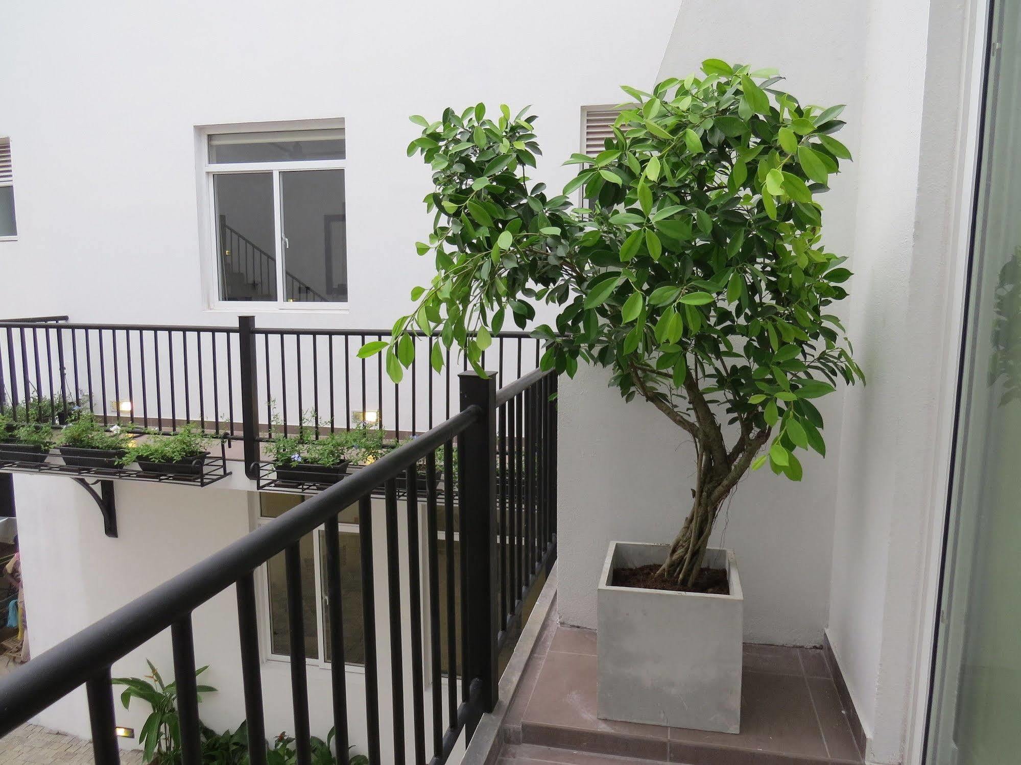 Chapelton House Bed & Breakfast Kolombo Dış mekan fotoğraf
